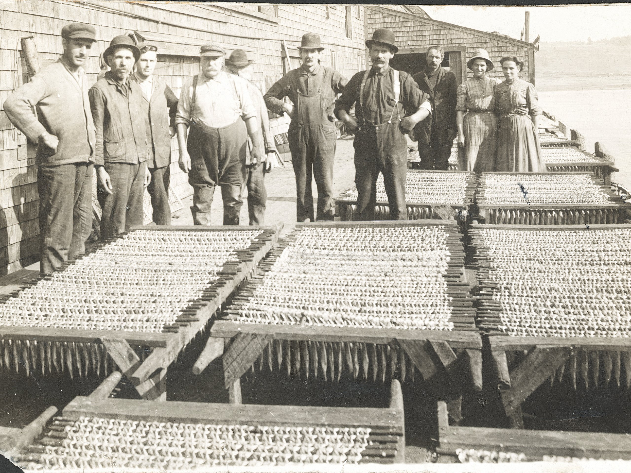 Maine Historical Society When The Island Had Fish Maine Historical Society